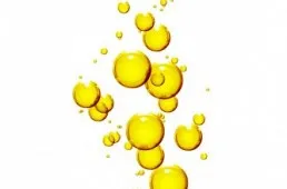 Leinoel