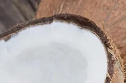 Kokosoel