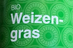 Weizengras
